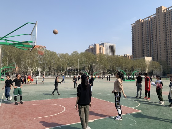 1554080644134409.jpg 3.jpg